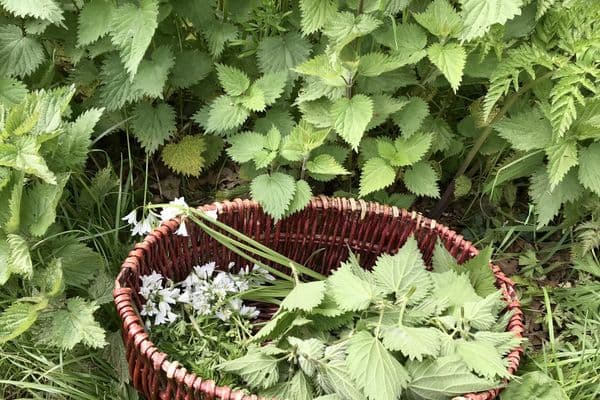 Forage London